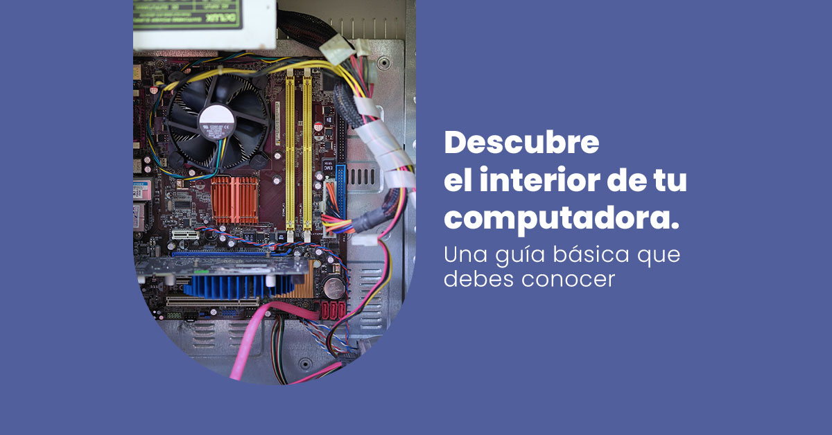 Componentes internos de una computadora: guía básica para no expertos.